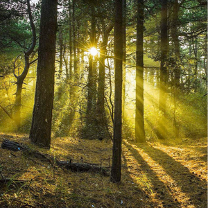 男生操女生在线软件
